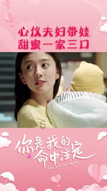 章鱼、墨鱼和鱿鱼哪里不一样呢?如何快速分辨,哪个吃的更美味 | 知识星球平台